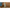Plancha a Vapor de Doble Voltaje Extremesteam™ GSC24 by Conair®