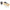 Cubre Pasaporte Vinil Conair TS269PC_002