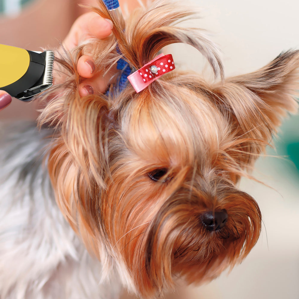Recortadora para perro de 16 piezas PGRD44 by ConairProPet®_007